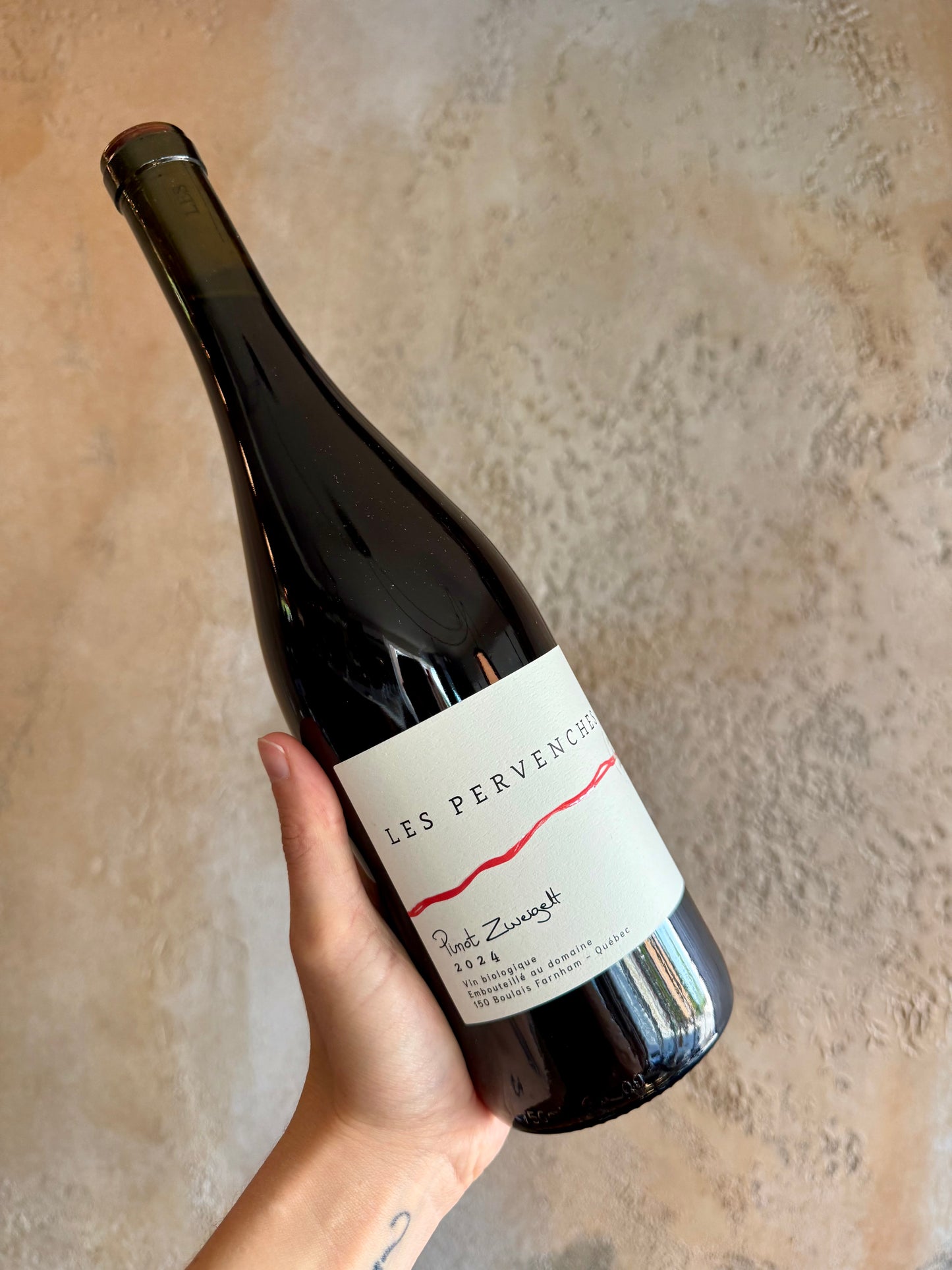 PINOT ZWEIGELT '25